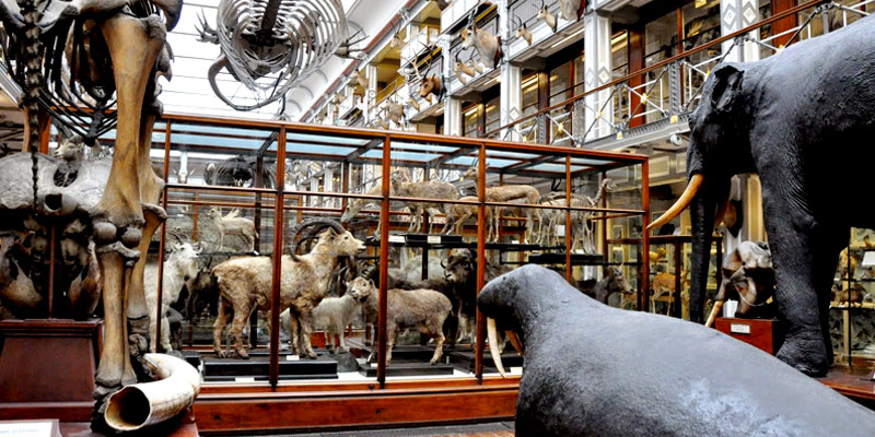 museu historias naturais dublin