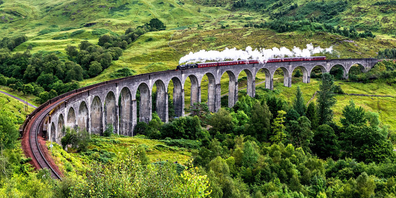 harry_potter